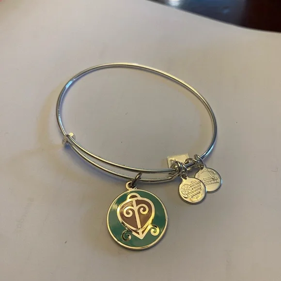 Alex and Ani Charity by Design The Way Home Silver Adjustable Charm Bracelet - Picture 2 of 4